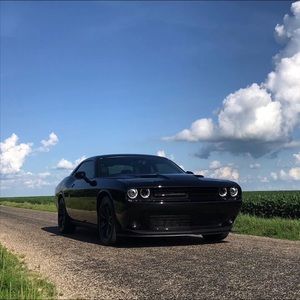 Meet your Posher, Thomas